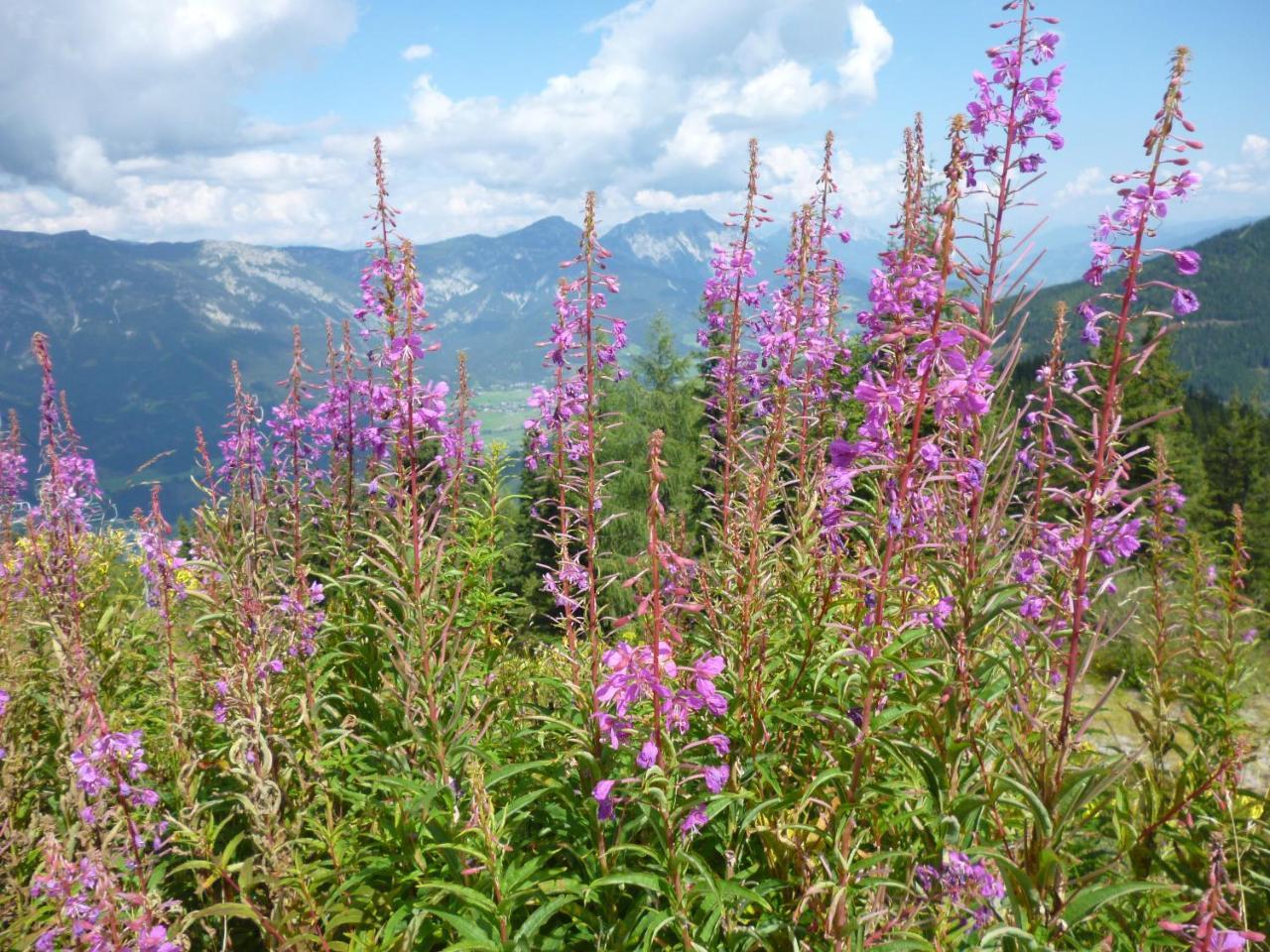 Ferienhaus Untergladner Schladming Bagian luar foto